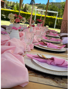 Picnic Clásico - Decoración 2