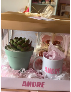 Caja premium: Plantita + Frame