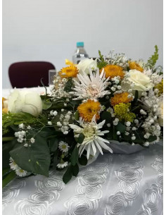 Promo Graduación
