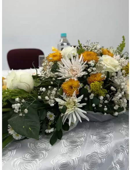 Promo Graduación