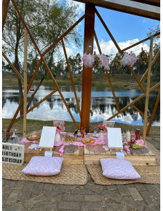 Picnic Clásico - Deco + Pintura 2