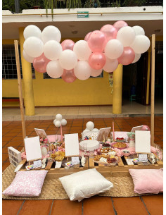 Picnic Clásico - Deco + Comida + Pintura