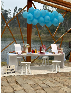 Picnic Moderno - Deco + Comida + Pintura