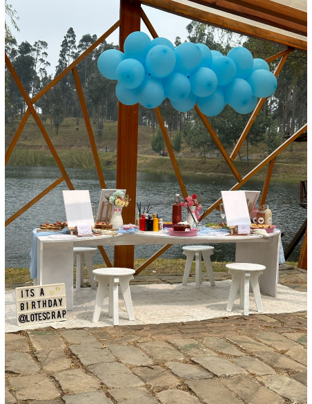 Picnic Moderno - Deco + Comida + Pintura